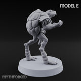 Shell Shocked Brawling Tortle Fighter E gallery 4
