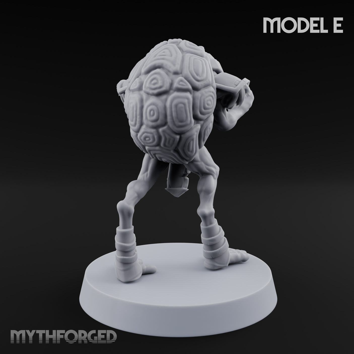 Shell Shocked Brawling Tortle Fighter E gallery 5