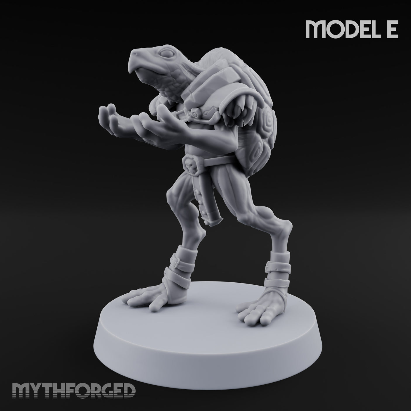 Shell Shocked Brawling Tortle Fighter E gallery 8
