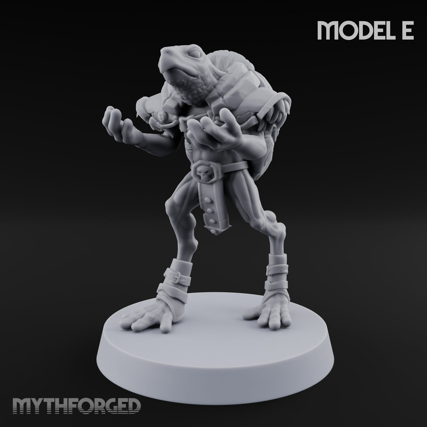 Shell Shocked Brawling Tortle Fighter E gallery 9