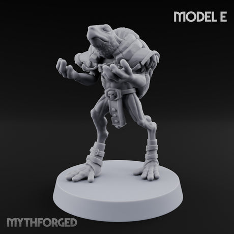 Shell Shocked Brawling Tortle Fighter E gallery 9