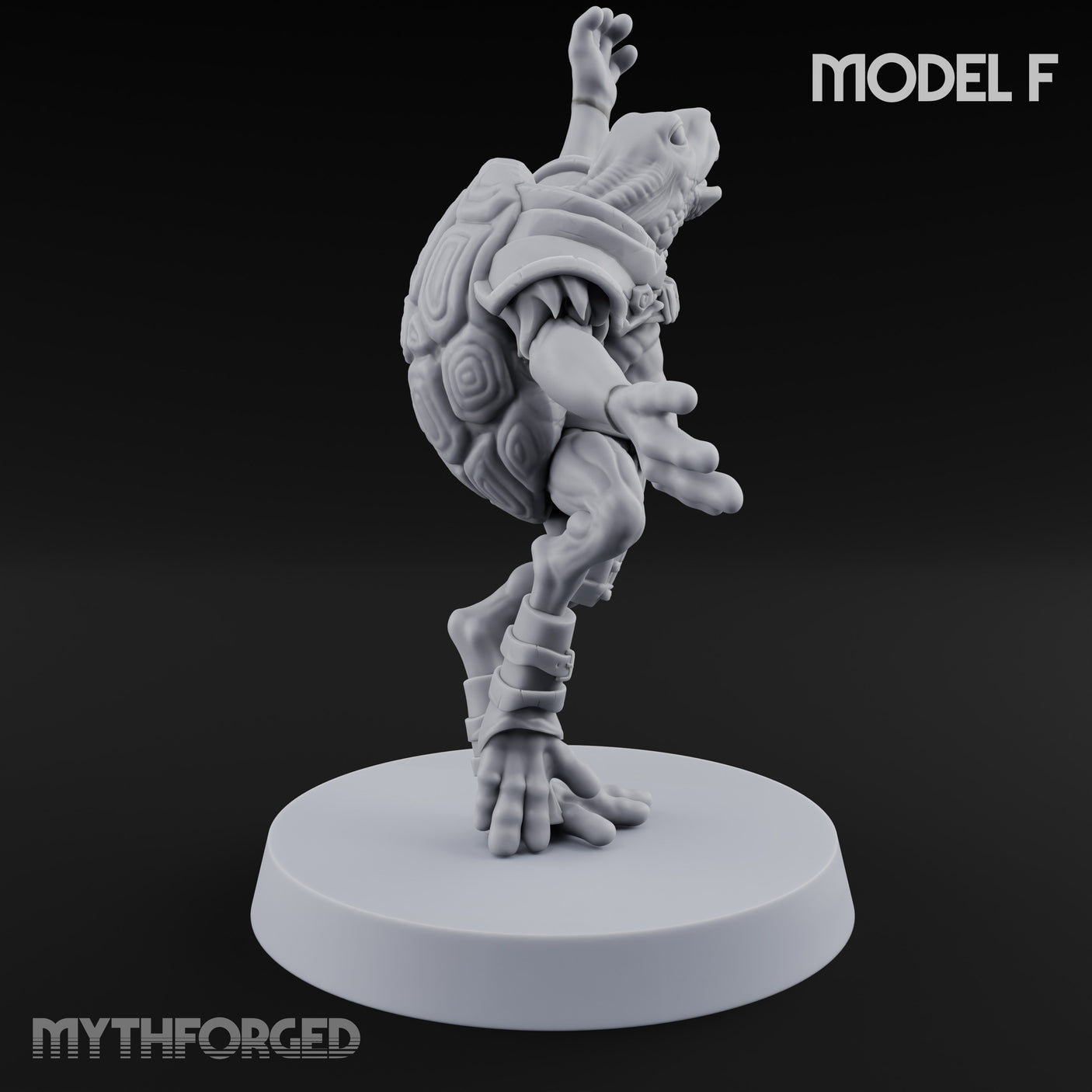 Shell Shocked Brawling Tortle Fighter F gallery 3
