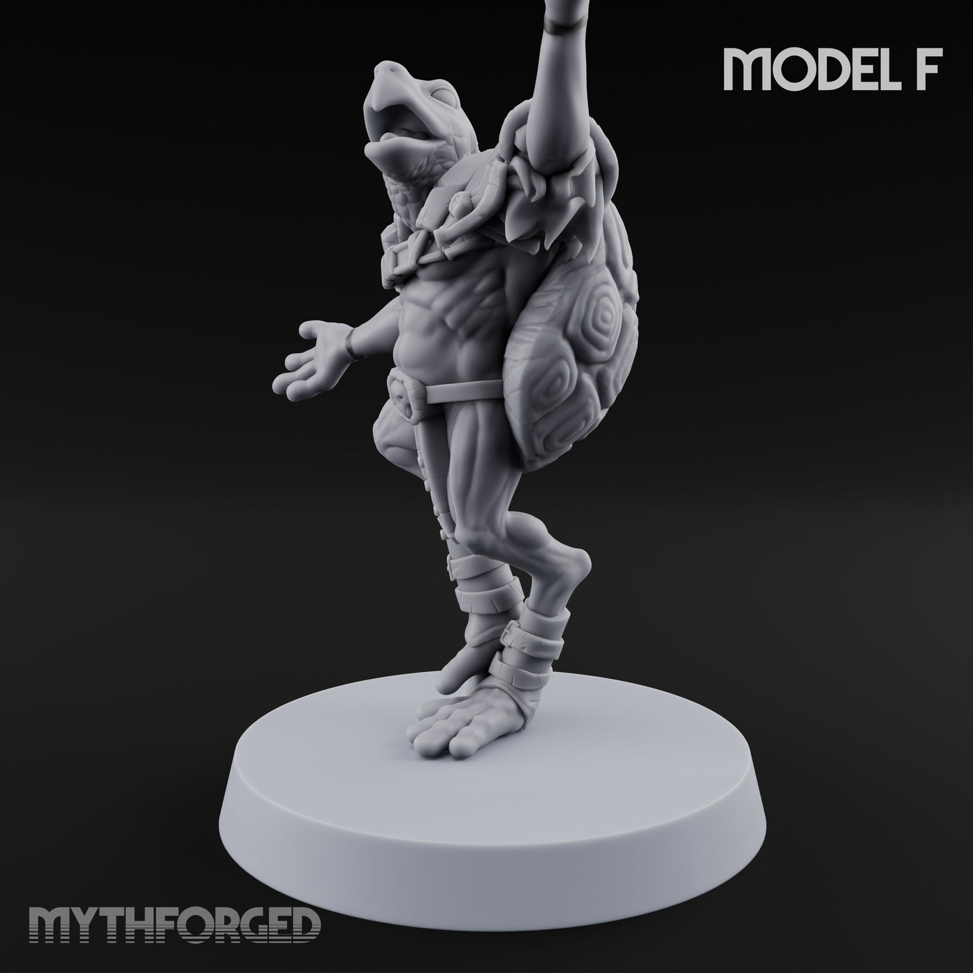 Shell Shocked Brawling Tortle Fighter F gallery 7