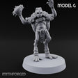 Shell Shocked Brawling Tortle Fighter G