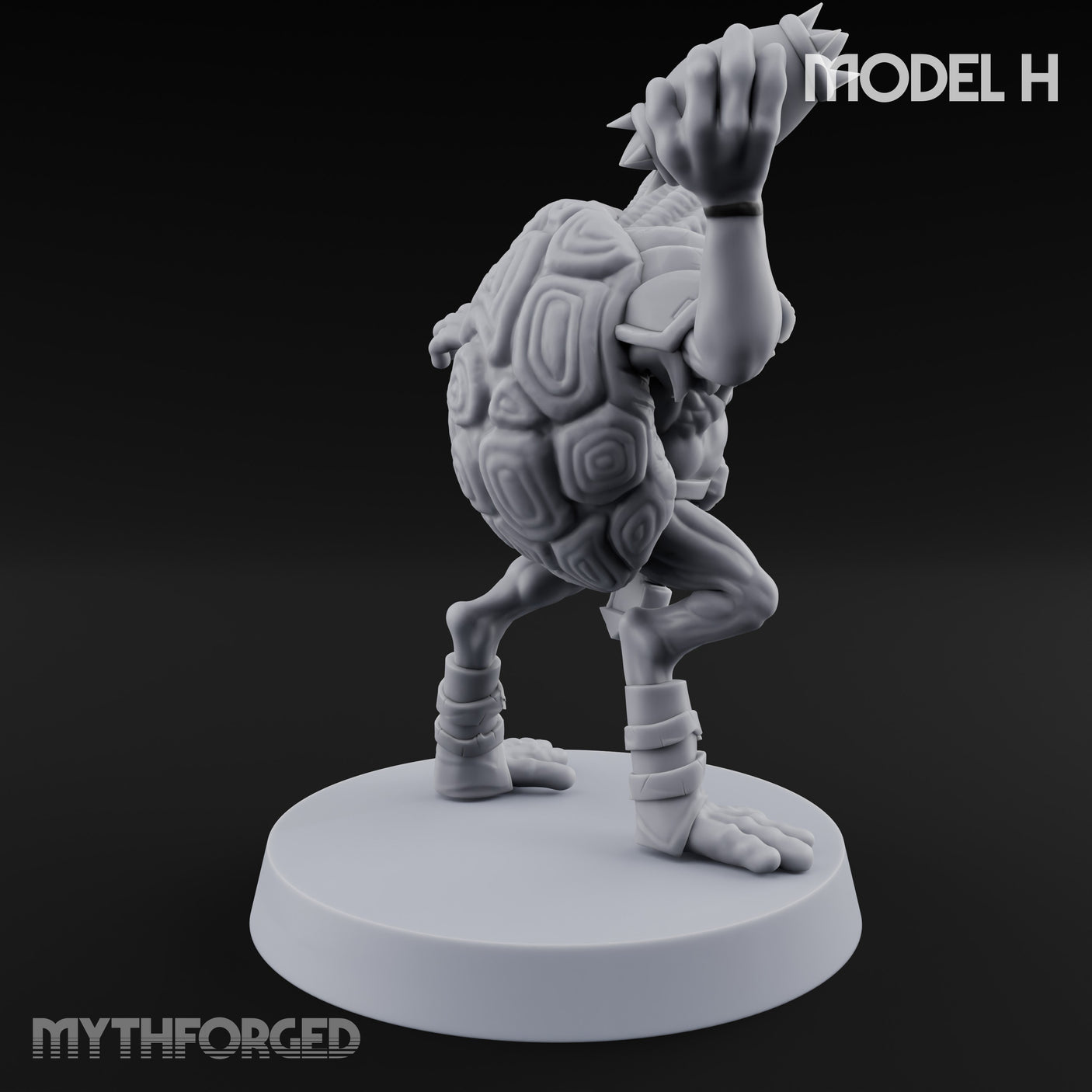 Shell Shocked Brawling Tortle Fighter H gallery 4