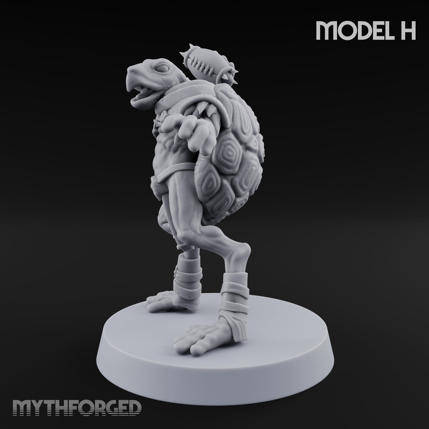 Shell Shocked Brawling Tortle Fighter H gallery 7