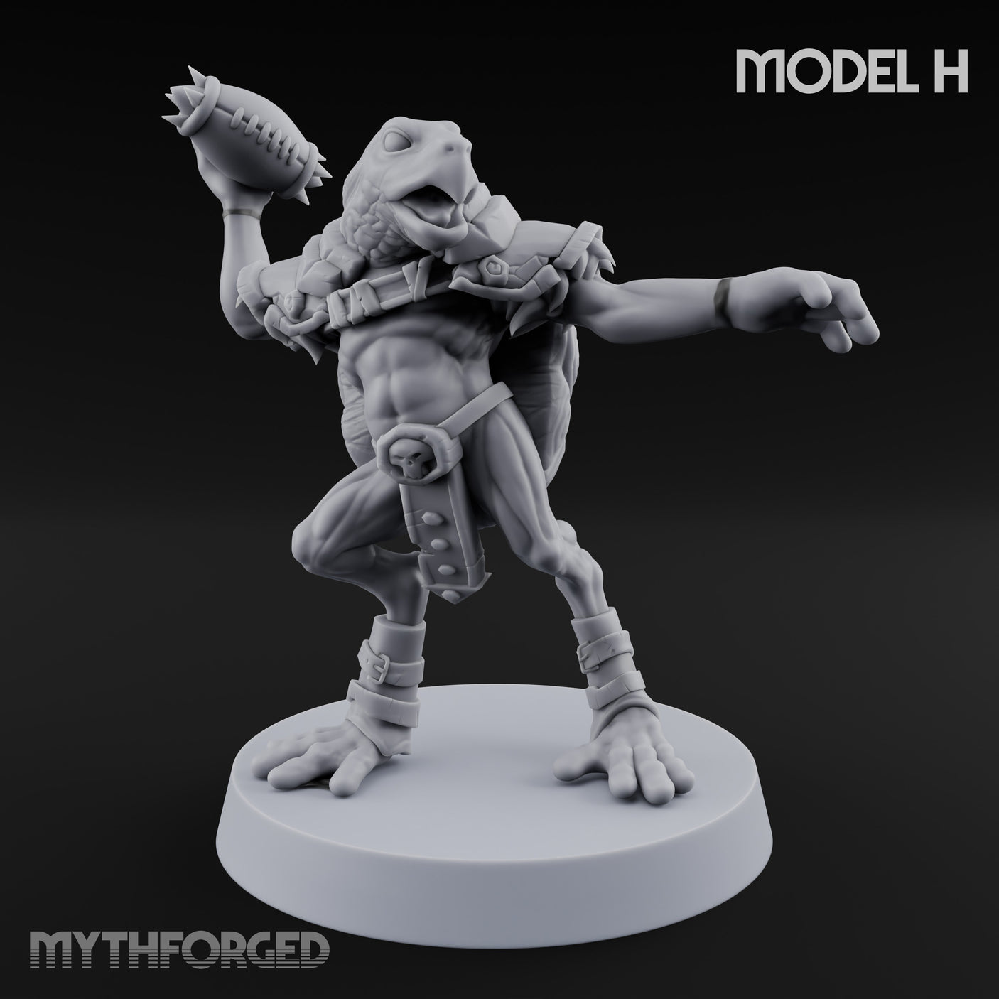 Shell Shocked Brawling Tortle Fighter H gallery 9