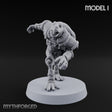 Shell Shocked Brawling Tortle Fighter I