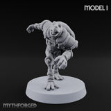 Shell Shocked Brawling Tortle Fighter I