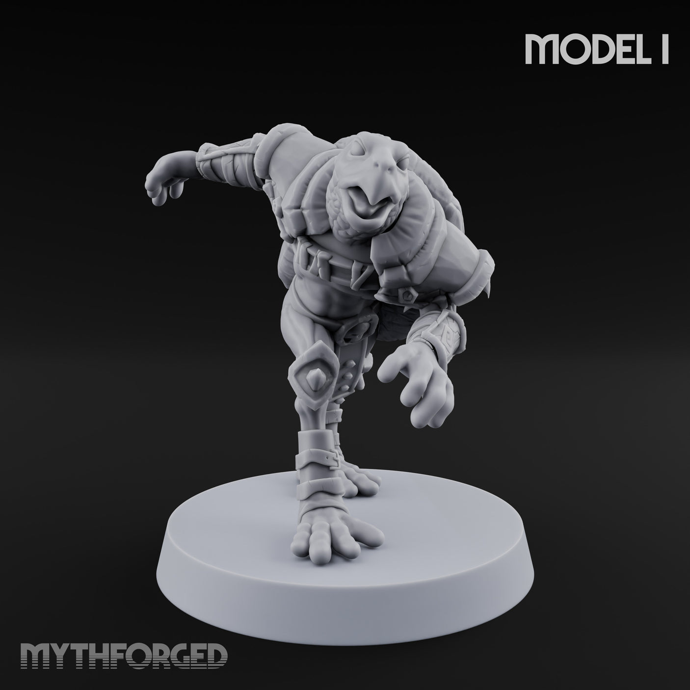 Shell Shocked Brawling Tortle Fighter I gallery 1