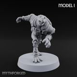 Shell Shocked Brawling Tortle Fighter I gallery 1