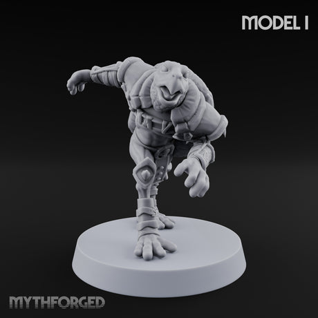 Shell Shocked Brawling Tortle Fighter I gallery 1