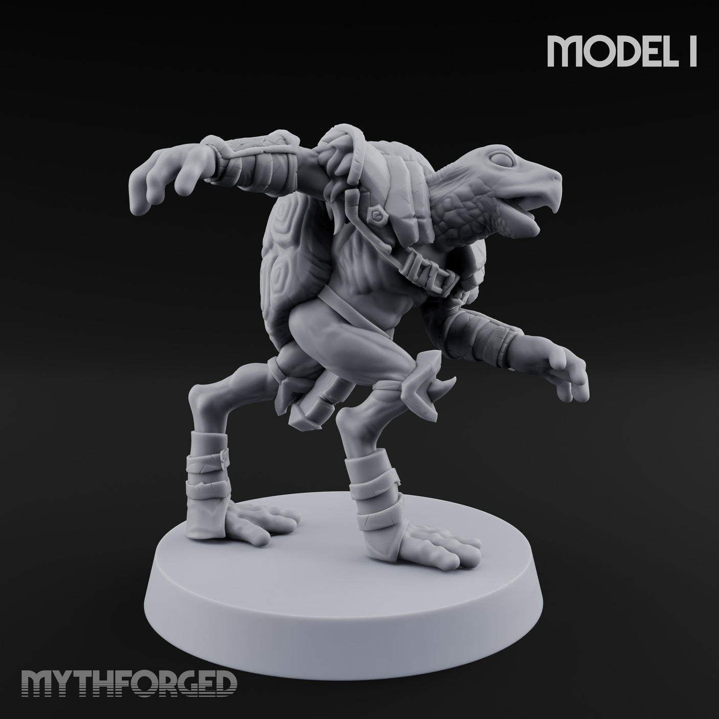 Shell Shocked Brawling Tortle Fighter I gallery 3