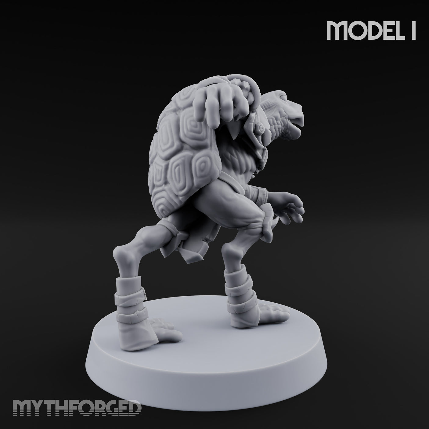 Shell Shocked Brawling Tortle Fighter I gallery 4