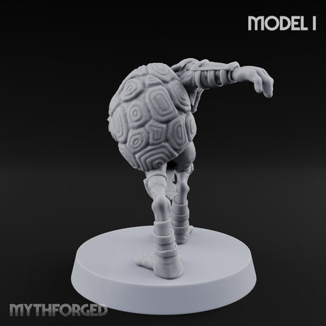 Shell Shocked Brawling Tortle Fighter I gallery 5