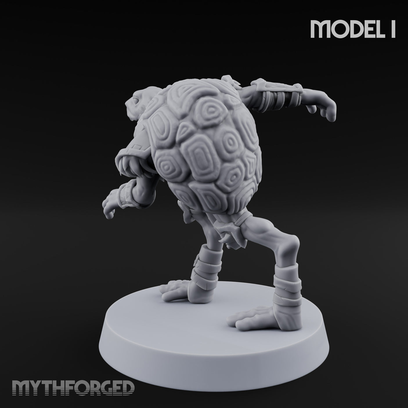 Shell Shocked Brawling Tortle Fighter I gallery 6
