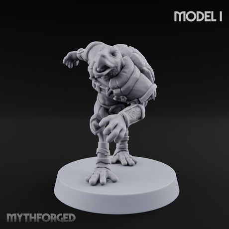 Shell Shocked Brawling Tortle Fighter I gallery 9