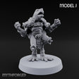 Shell Shocked Brawling Tortle Fighter J