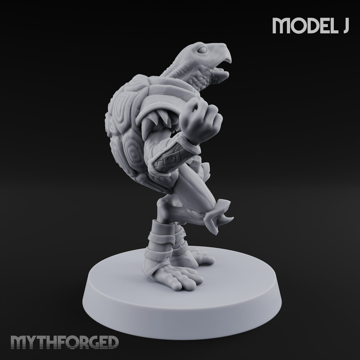 Shell Shocked Brawling Tortle Fighter J gallery 3