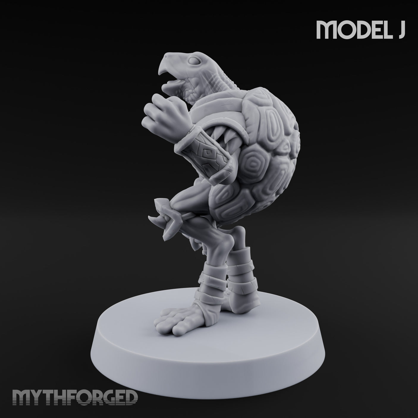 Shell Shocked Brawling Tortle Fighter J gallery 6
