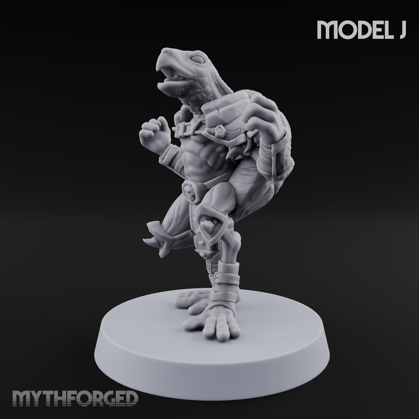 Shell Shocked Brawling Tortle Fighter J gallery 7