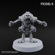 Shell Shocked Brawling Tortle Fighter K