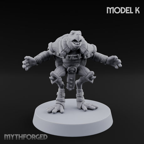 Shell Shocked Brawling Tortle Fighter K gallery 1