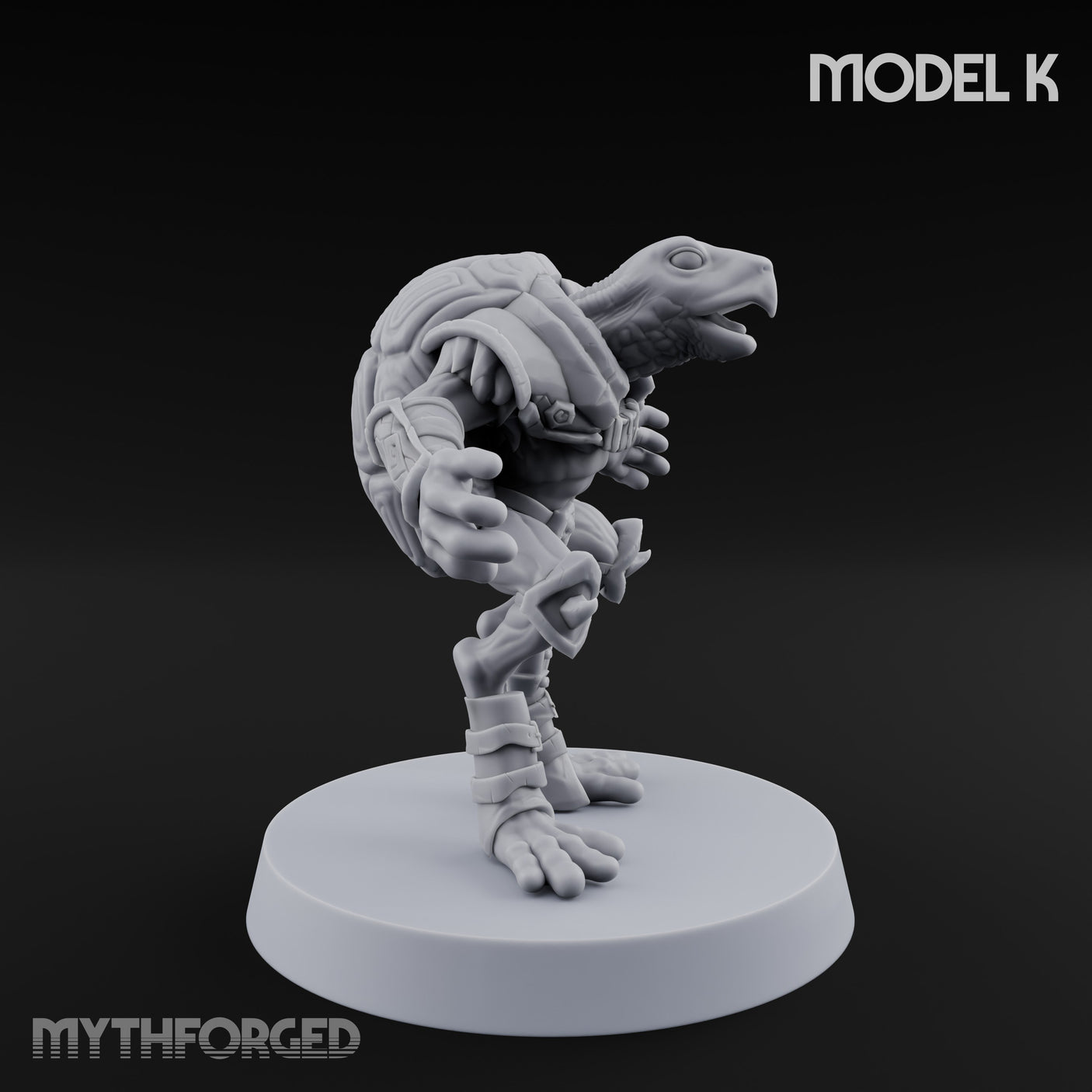 Shell Shocked Brawling Tortle Fighter K gallery 3