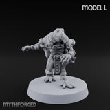 Shell Shocked Brawling Tortle Fighter L gallery 1