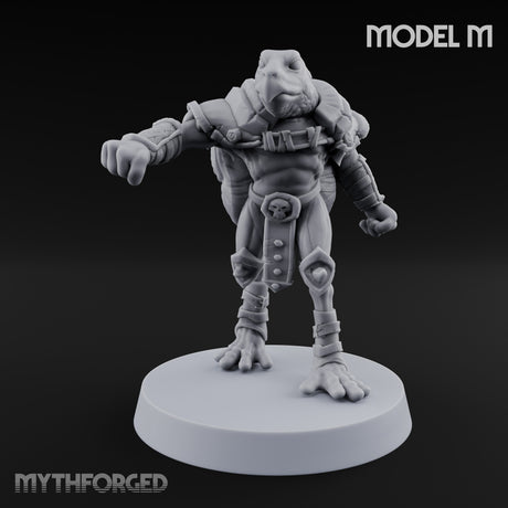 Shell Shocked Brawling Tortle Fighter M gallery 2