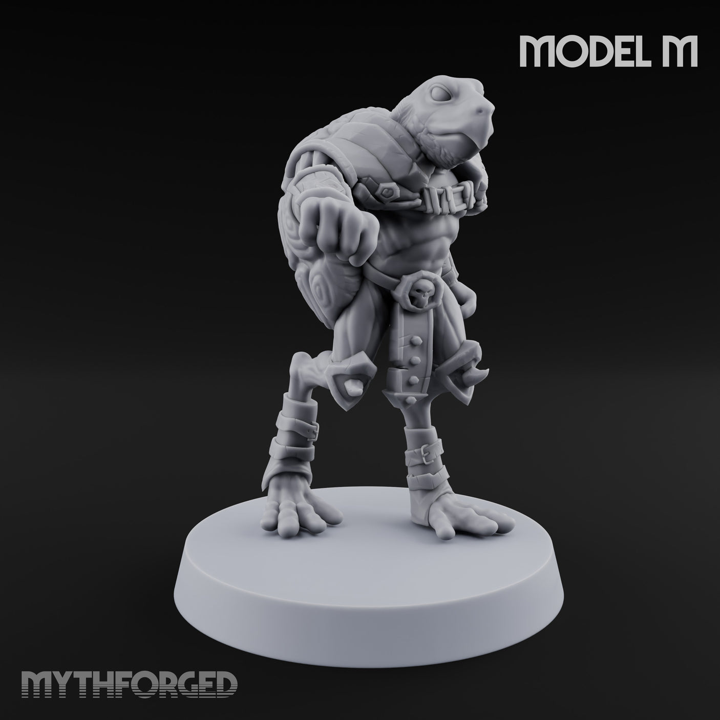 Shell Shocked Brawling Tortle Fighter M gallery 3