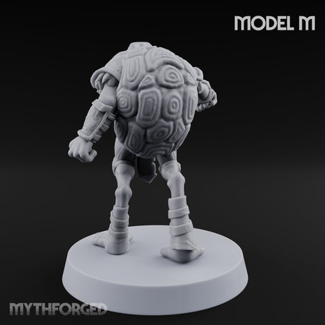 Shell Shocked Brawling Tortle Fighter M gallery 6