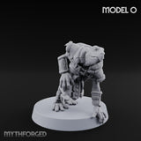 Shell Shocked Brawling Tortle Fighter O gallery 1