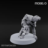 Shell Shocked Brawling Tortle Fighter O gallery 2