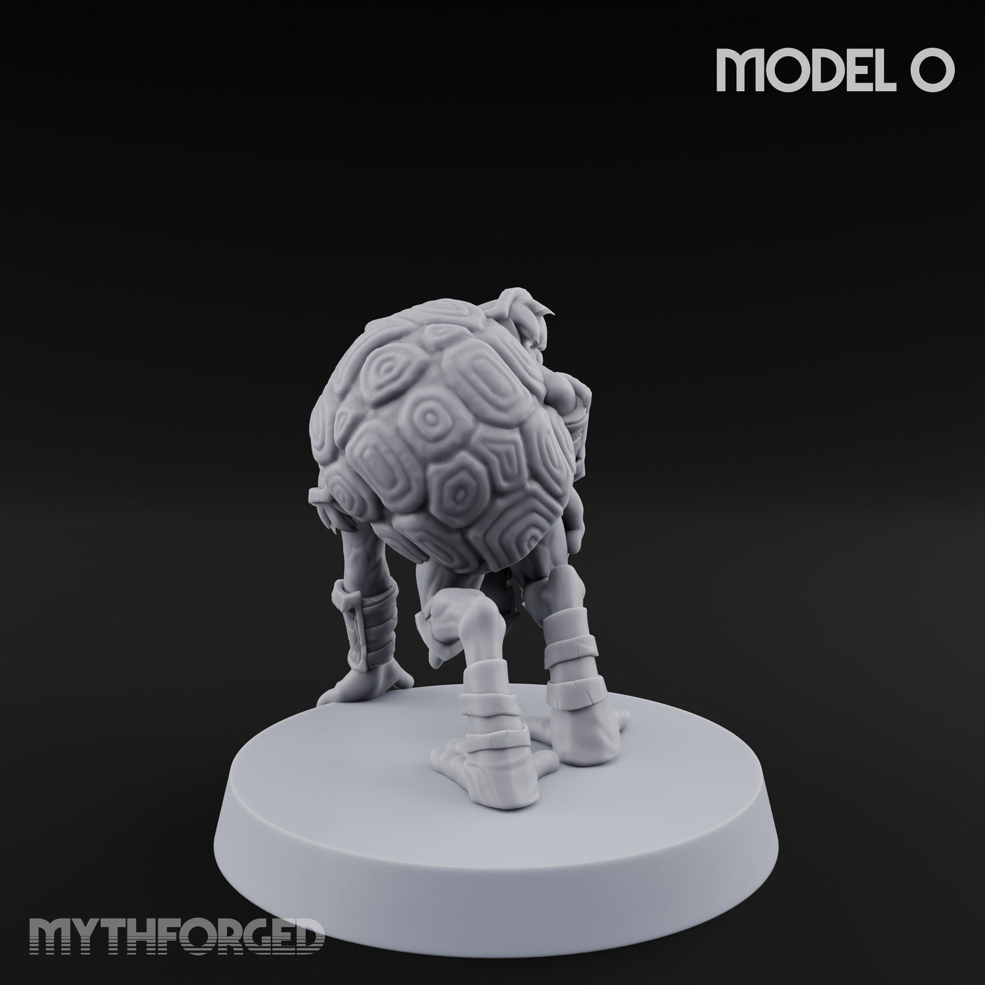 Shell Shocked Brawling Tortle Fighter O gallery 5