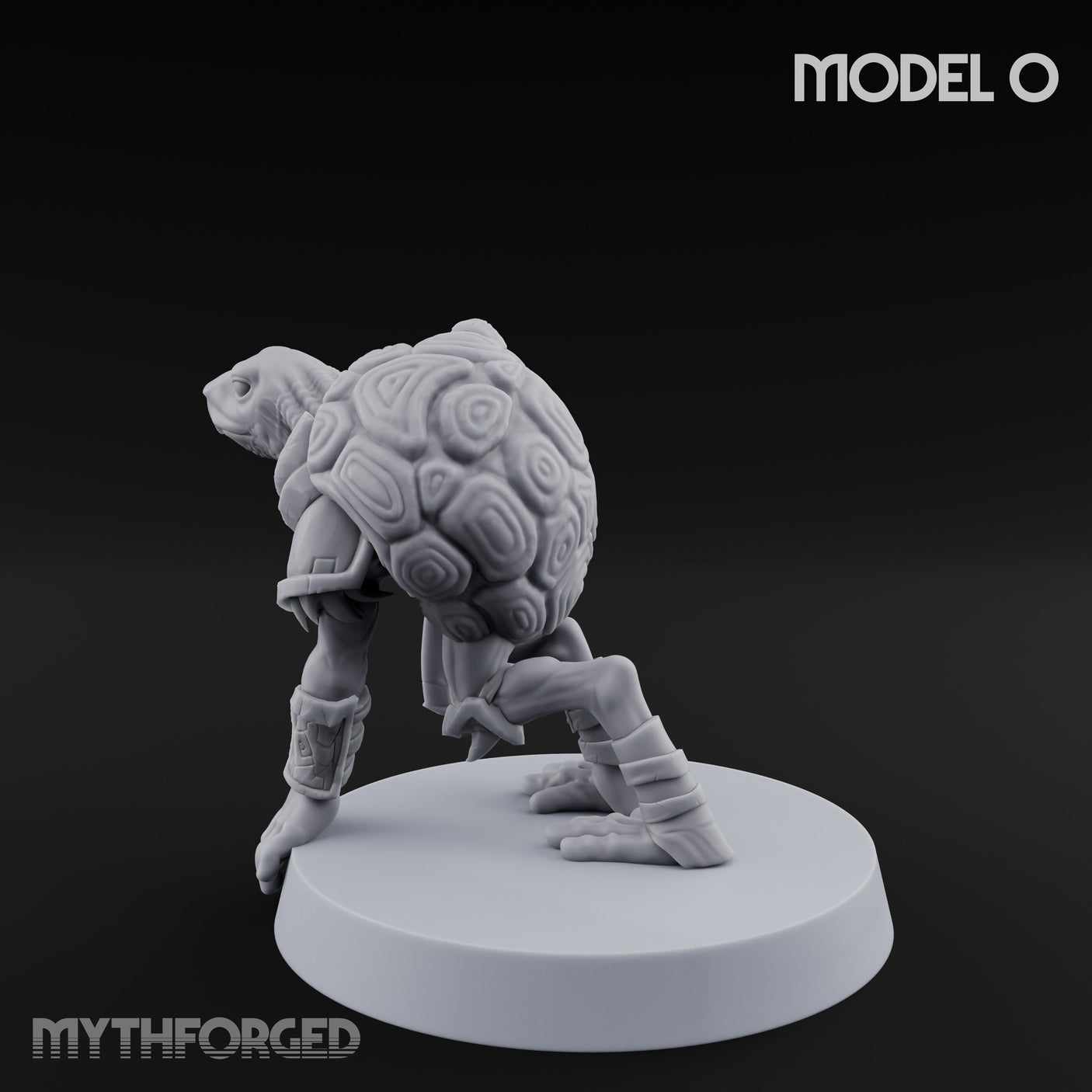 Shell Shocked Brawling Tortle Fighter O gallery 6