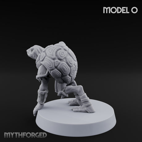 Shell Shocked Brawling Tortle Fighter O gallery 6