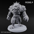 Shell Shocked Brawling Tortle Fighter P