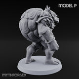 Shell Shocked Brawling Tortle Fighter P gallery 4