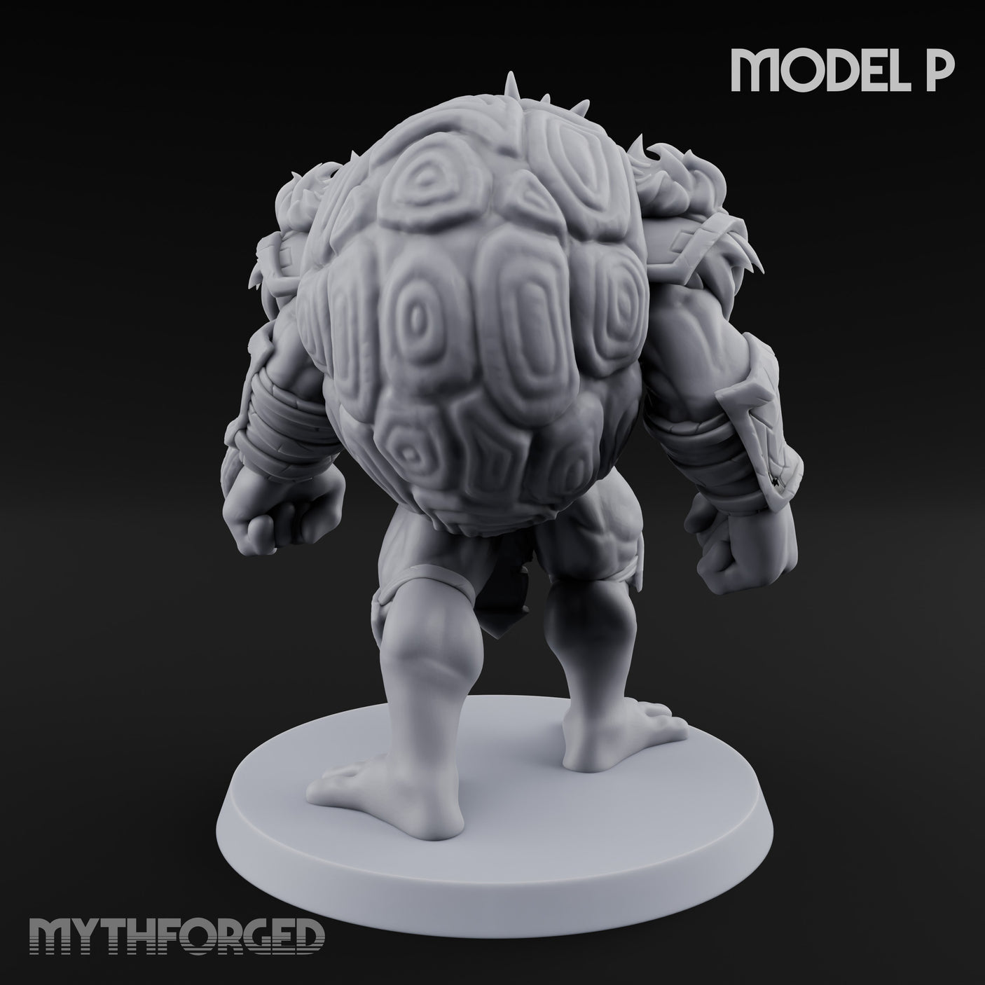 Shell Shocked Brawling Tortle Fighter P gallery 5