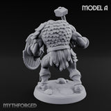 Shield Bearing Warband Pig Orc Warrior A gallery 10
