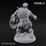 Shield Bearing Warband Pig Orc Warrior A gallery 9