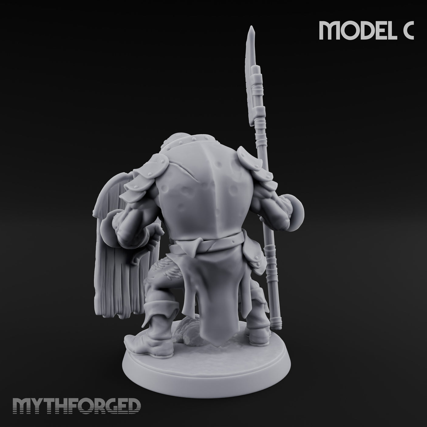 Shield Bearing Warband Pig Orc Warrior C gallery 12
