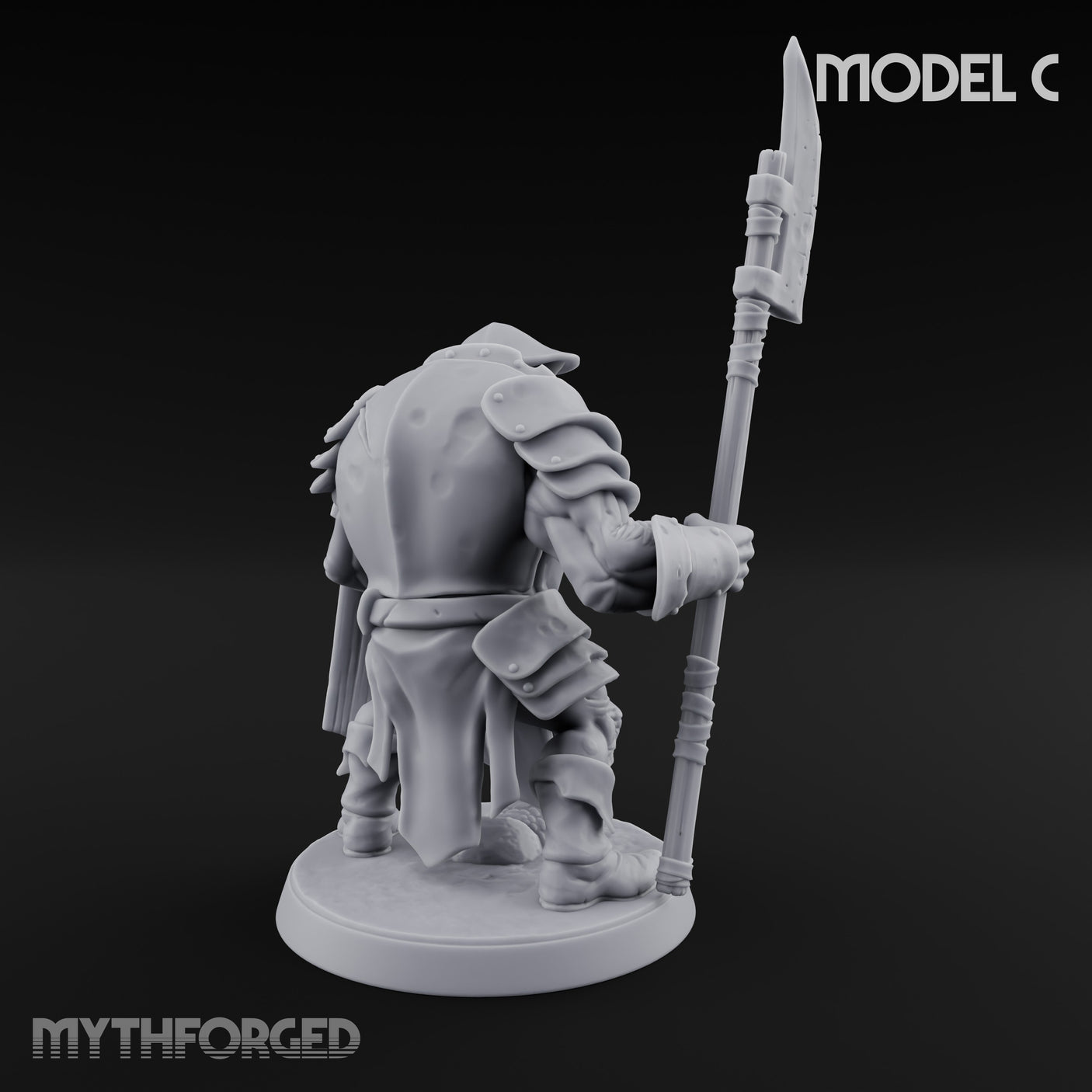 Shield Bearing Warband Pig Orc Warrior C gallery 9
