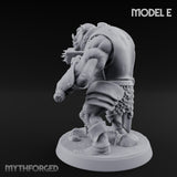 Shield Bearing Warband Pig Orc Warrior E gallery 12