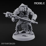 Shield Bearing Warband Pig Orc Warrior E gallery 17