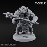 Shield Bearing Warband Pig Orc Warrior E gallery 18