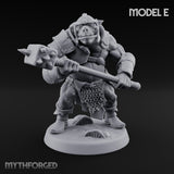 Shield Bearing Warband Pig Orc Warriors — E