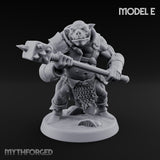 Shield Bearing Warband Pig Orc Warriors — E