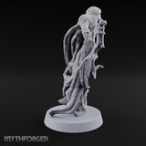 Screams Before Introductions Banshee Lantern Bearer A